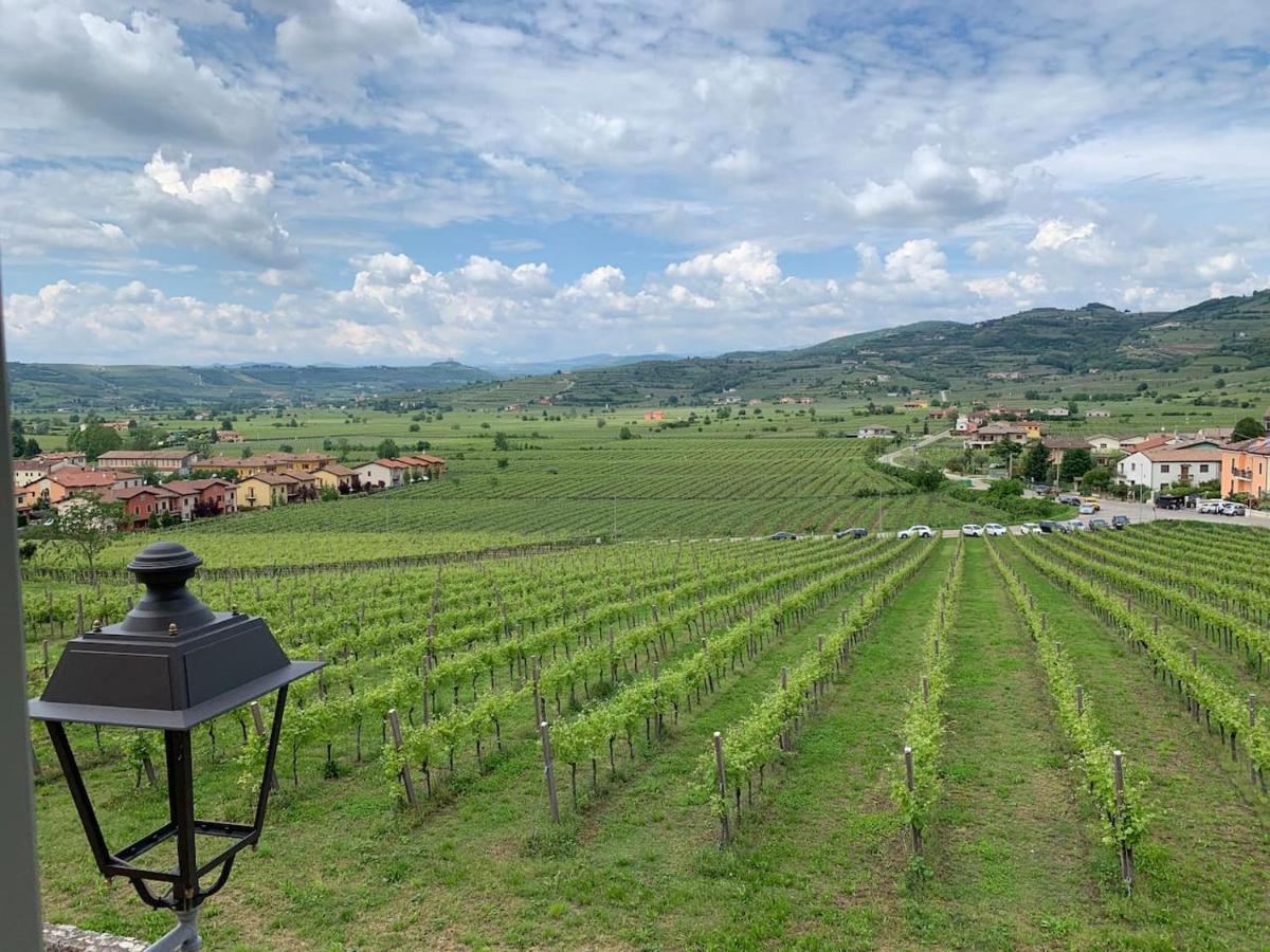 Soave House Alle Vigne-2-Luxury Stay Dış mekan fotoğraf